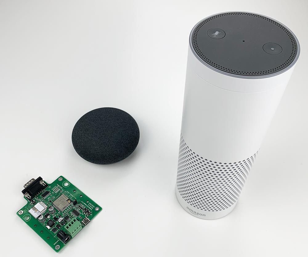 alexa and google home